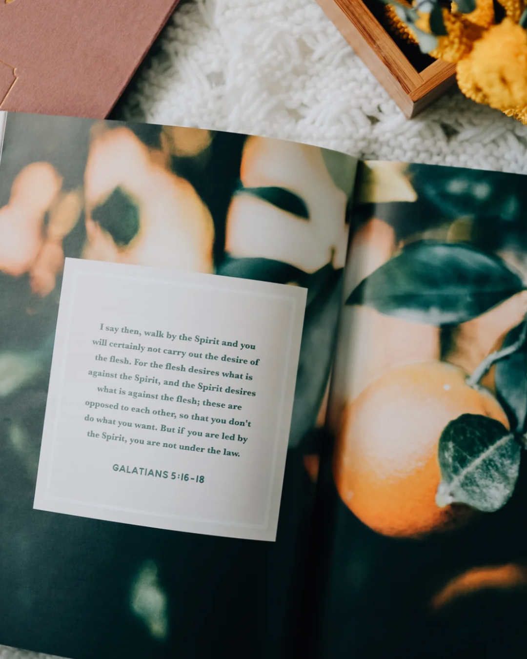 fruit of the Spirit | 3 week study